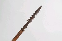 槍藏品圖，第1張